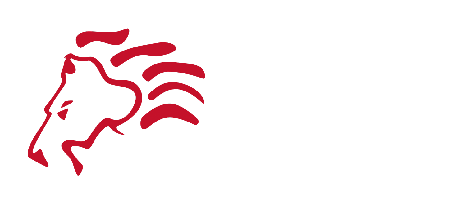 NOUVELLE-AQUITAINE